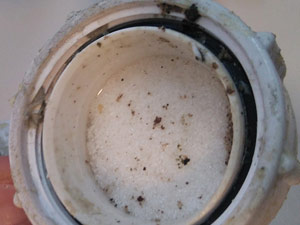 Solidified waste in the sink trap