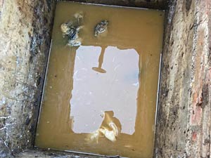 A blocked manhole chamber London