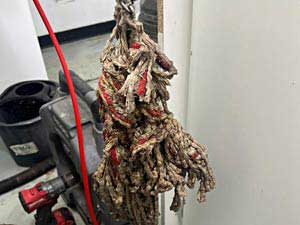 A Mop Head Removed From a Blocked Toilet at a London Business Premises.