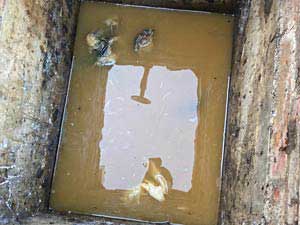 Blocked Manhole Chamber.