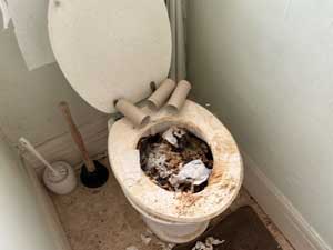 Blocked Toilet London.