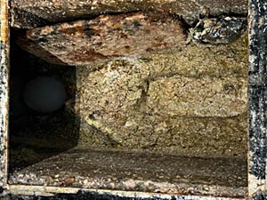 Congealed cooking oils in Wembley