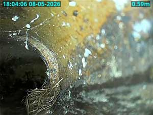 Displaced Joint & tree roots. this can be resolved permanently with removal & lining.