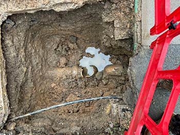 removing the damaged buchan trap in London