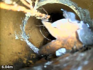 Our problem Drain Investigation will find the cause.