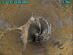 Root ingress drain can be prevented with patch lining.