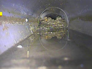 Settled deposits obstructing the flow of waste water