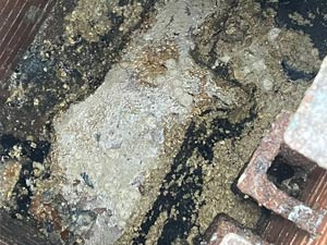 Solidified cooking oils and grease clogging a London drain